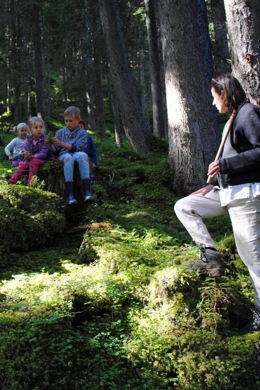 Forest adventure day for children
