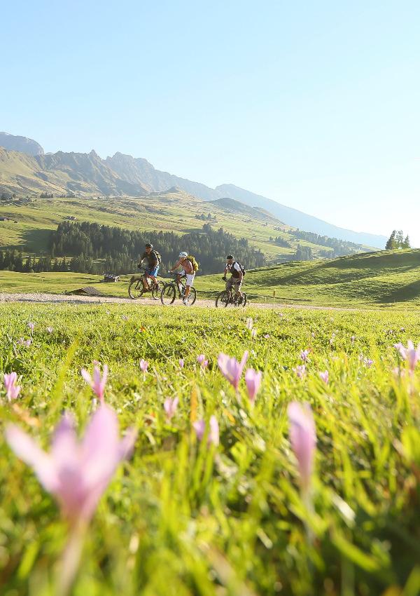 MTB und E-MTB: Wasserfälle von Riva di Tures