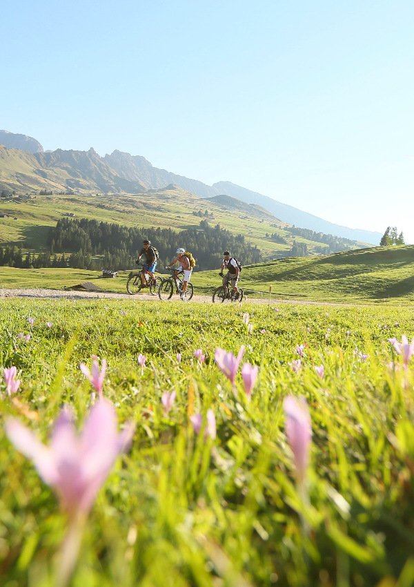MTB und E-MTB: Wasserfälle von Riva di Tures