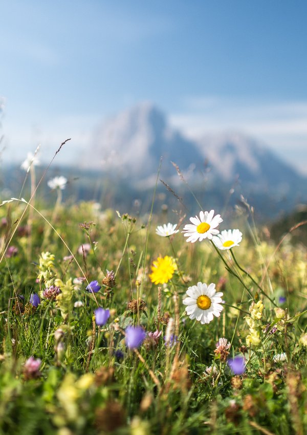 Dolomiten hautnah: Wanderung zur Fonda Savio Hütte